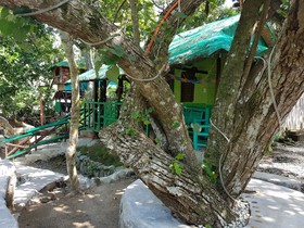 Nature Green Forest Resort