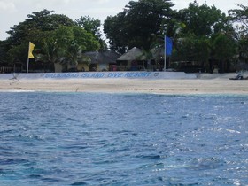 Balicasag Island Dive Resort