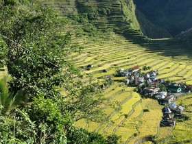 Batad Transient House