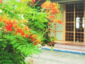 Kota Beach Resort