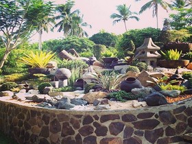 Cintai Coritos Garden