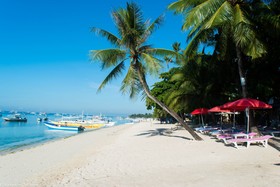 Alona Vida Beach Resort