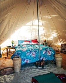 Eco Glamping Treehouses