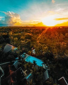Eco Glamping Treehouses