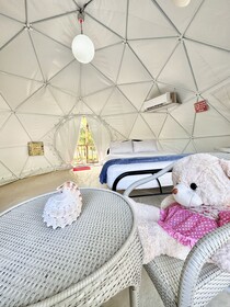 Eco Glamping Treehouses