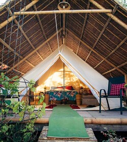 Eco Glamping Treehouses