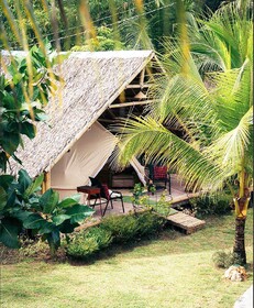 Eco Glamping Treehouses