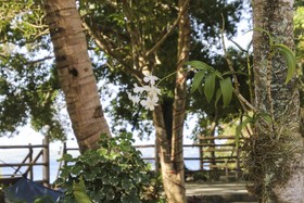 Isla Hayahay Beach Resort and Restaurant