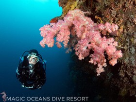 Magic Oceans Dive Resort
