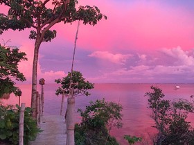 Birdland Beach Club