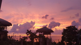 Birdland Beach Club