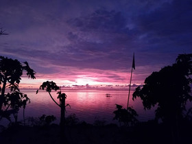 Birdland Beach Club