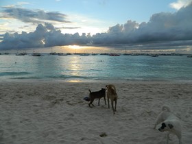 Blue Coral Resort Boracay