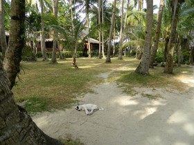 Boracay Huts