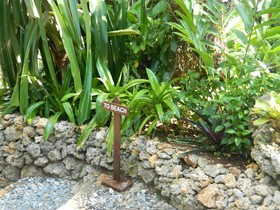 Mandala Spa & Villas