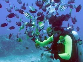 Surfside Boracay Resort & Spa