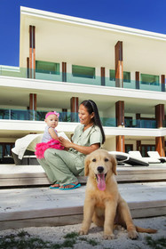 Under The Stars Luxury Apartments