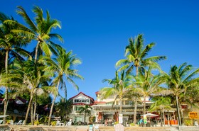 Willy's Beach Resort