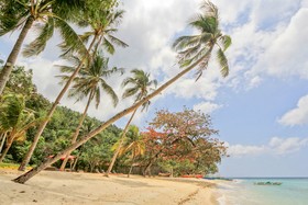 Den Pasar Nasog Villa