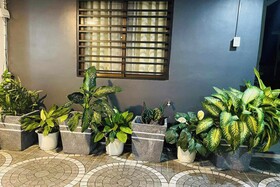 Shiella's Staycation House