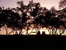 La Estrella Beach Resort and Cabilao Dive Center
