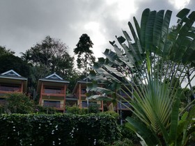 Gardens Of Malasag Eco Tourism Village