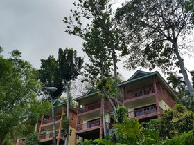 Gardens Of Malasag Eco Tourism Village