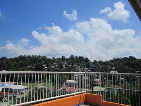Golden Stallion Suites