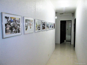 Stonestown Suites