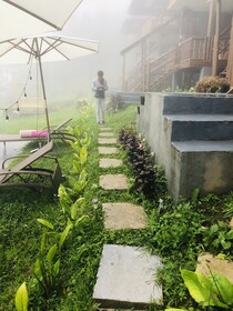 Bintana Sa Paraiso Binunsaran