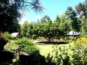Nypa Style Resort Camiguin