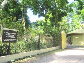Nypa Style Resort Camiguin