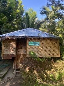 Palm Garden Resort