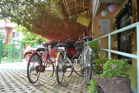 Wellnessland Wholeness Center