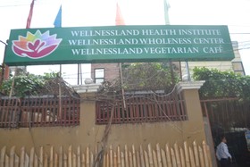 Wellnessland Wholeness Center