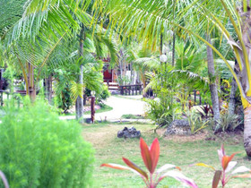 Coco Grove Nature Resort and Spa