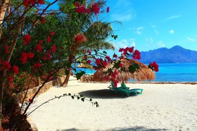Chindonan Dive Resort