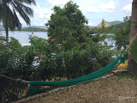 Discovery Island Resort and Dive Center