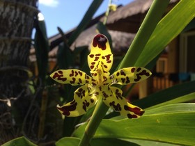 La Natura Resort