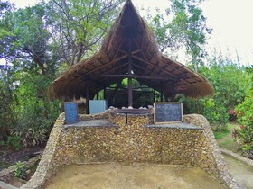 Sanctuaria Treehouses Busuanga