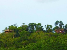 Sanctuaria Treehouses Busuanga
