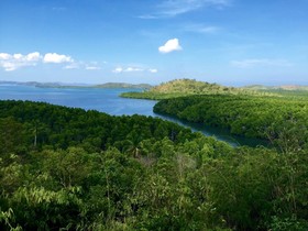 Sanctuaria Treehouses Busuanga