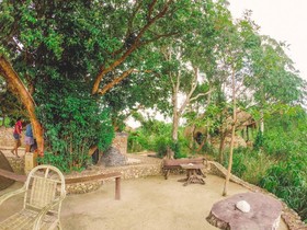 Sanctuaria Treehouses Busuanga
