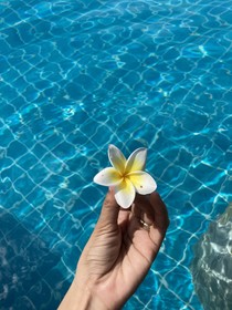 Zuri Resort
