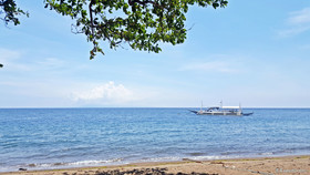 Mikes Dauin Beach Resort
