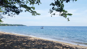 Mikes Dauin Beach Resort