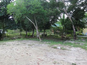 Alexis Cliff Dive Resort