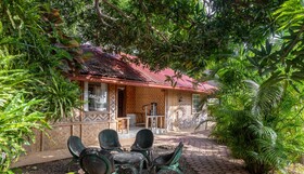 Icebear Bar and Tourist Inn by ZEN Rooms