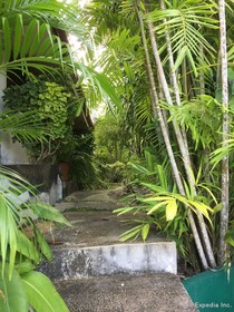 Parkside Olmans View Resort
