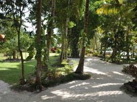 Tiki Beach Resort